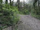 IMG_1726.jpeg