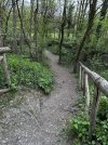 IMG_1728.jpeg