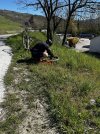 IMG_1745.jpeg