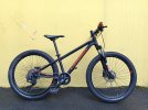 Orbea MX 24" Team Disk