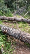 IMG_20260421_185008.jpg