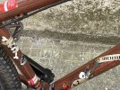 IMG_0385.jpeg