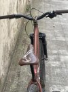 IMG_0386.jpeg