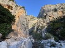 IMG_1240.jpeg