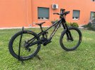 Pivot Phoenix V5 2026 tg S3 (L)