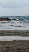 IMG_20260602_193840.jpg