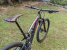 Trek Remedy 29_04.jpeg
