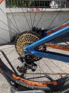 IMG_8247.jpeg