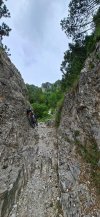 thumbnail (2).jpg