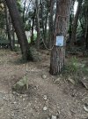 IMG_3433.jpeg