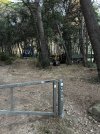 IMG_3435.jpeg