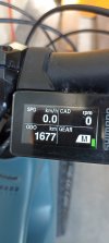 BIKE 1.jpg