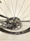 IMG_5276.jpeg