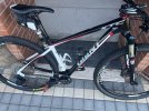 IMG_0946.jpeg