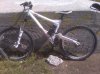 IMG00174.jpg