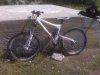 IMG00175.jpg