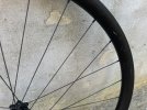 IMG_2985.JPEG