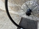 IMG_2991.JPEG