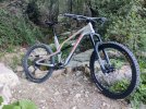 Canyon Spectral AL XL 2020 | Magura MT5 | Ruote Mavic Crossmax