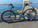 MTB Lee Cougan full carbon