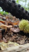 IMG_20261010_115926.jpg