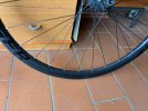 IMG_3824.jpeg
