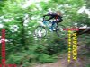 t_drop_del_cinghiale0002_78_421.jpg