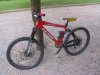 mycherry_04_162.jpg