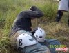 casco_159.jpg