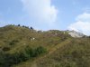 DSC00029.jpg