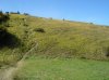 DSC00002.jpg