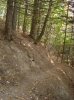 DSC00079.jpg