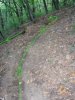 switchback.jpg