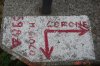 DSC06956.jpg