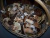 100_3444.jpg