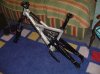 DSC01640.jpg