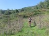 IMG_1327.jpg