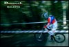 dh meòette 490 copia.jpg