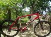 my bike 2.jpg