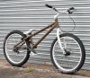 large_inspiredbrown3.jpg