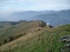 SANY0969.jpg