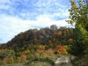 Carpegna autunno.jpg