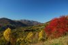 DSC_6442.jpg