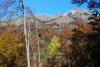 DSC_6445.jpg