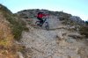 DSC_6464.jpg