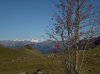 DSCN2208.1.jpg