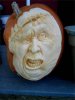 zucca.jpg
