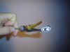 DSC07051.jpg