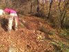 28112009855.jpg