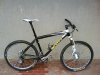 DSC00093.jpg
